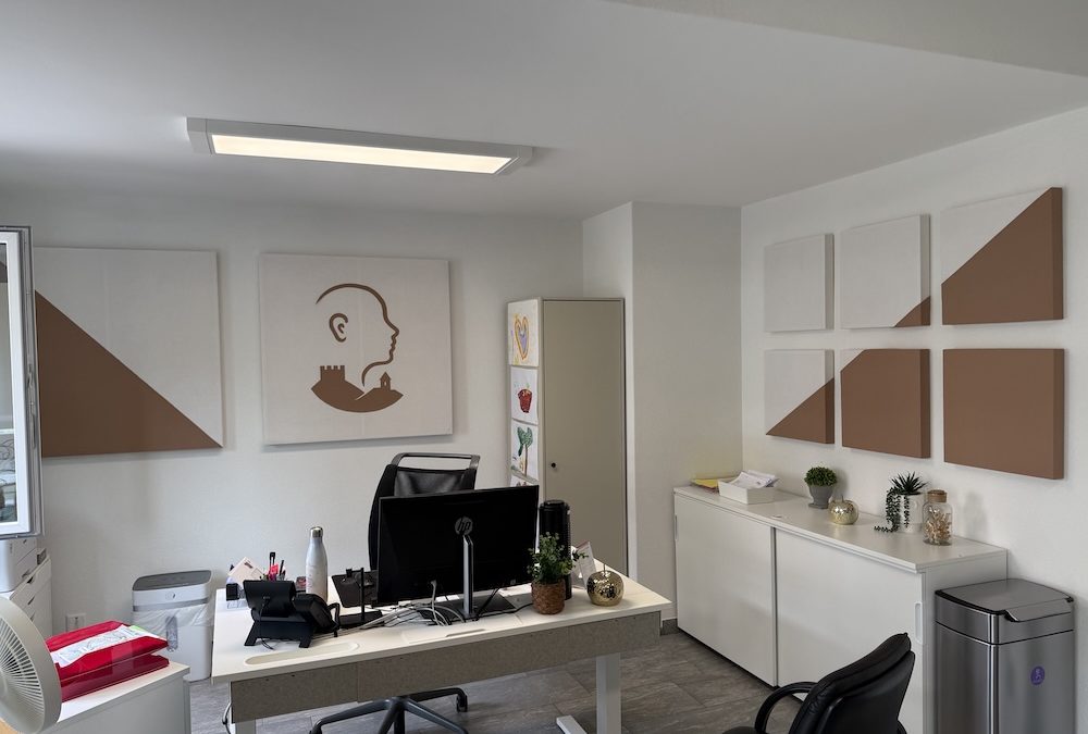 Acoustique sur mesure pour un cabinet ORL à Sion