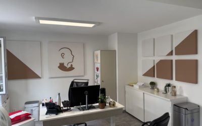Acoustique sur mesure pour un cabinet ORL à Sion